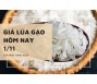 Giá lúa gạo hôm nay 1/11