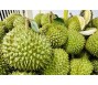 Nông sản có thể mang về kim ngạch xuất khẩu 26 tỷ USD vào năm 2030
