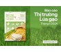 [Báo cáo] Thị trường gạo tháng 1/2024