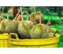 Xuất khẩu sầu riêng giảm mạnh 4 tháng liên tiếp