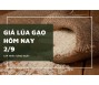 Giá lúa gạo hôm nay 2/9