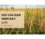 Giá lúa gạo hôm nay 2/11