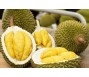 Xuất khẩu sầu riêng mang về 1,32 tỷ USD trong 6 tháng dù giá giảm mạnh