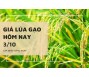 Giá lúa gạo hôm nay 3/10