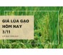 Giá lúa gạo hôm nay 3/11