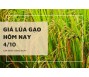 Giá lúa gạo hôm nay 4/10
