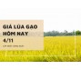 Giá lúa gạo hôm nay 4/11
