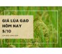 Giá lúa gạo hôm nay 5/10
