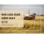 Giá lúa gạo hôm nay 5/12