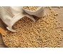 Giá đậu nành chịu áp lực trước lo ngại căng thẳng thương mại Mỹ - Trung