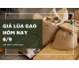 Giá lúa gạo hôm nay 6/9
