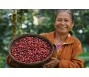 Làm sao để đưa Robusta Việt Nam lên tầm 'thượng hạng'?