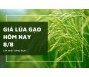 Giá lúa gạo hôm nay 8/8