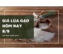 Giá lúa gạo hôm nay 8/9