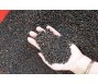 VPSA: Giá tiêu có thể tăng trở lại vì thế giới thiếu hàng