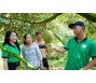 Thủy lợi bứt phá chuyển đổi cây trồng [Bài 1]: Bệ phóng hình thành làng tỷ phú sầu riêng