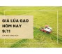Giá lúa gạo hôm nay 9/11