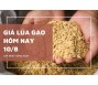 Giá lúa gạo hôm nay 10/8