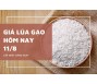 Giá lúa gạo hôm nay 11/8