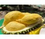 Chưa có bất cứ thông báo nào việc tạm dừng xuất khẩu sầu riêng sang Trung Quốc