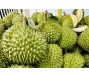Thu hồi mã số vùng trồng các cơ sở vi phạm quy định xuất khẩu hoa quả sang Trung Quốc