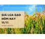 Giá lúa gạo hôm nay 11/11