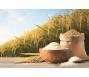 Ấn Độ vượt Trung Quốc trở thành quốc gia sản xuất gạo lớn nhất thế giới