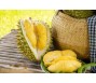 Thị phần sầu riêng của Việt Nam tại Trung Quốc giảm mạnh