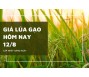 Giá lúa gạo hôm nay 12/8