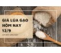 Giá lúa gạo hôm nay 12/9