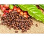 Giá cà phê tăng hơn 75%, Việt Nam còn bao nhiêu hàng để xuất khẩu?