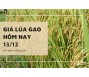 Giá lúa gạo hôm nay 13/12