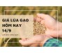 Giá lúa gạo hôm nay 14/9