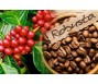 ICO: Giá cà phê robusta tăng lên mức cao nhất 30 năm