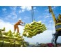 Xuất khẩu gạo sôi động trở lại