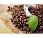 Giá cà phê tiến sát ngưỡng lịch sử 50.000 đồng/kg do nguồn cung thắt chặt?