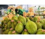 Xuất khẩu rau quả sang Trung Quốc trong tháng 8 tăng gần gấp 3 lần so với cùng kỳ