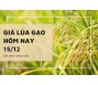 Giá lúa gạo hôm nay 15/12