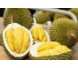 Nhập khẩu sầu riêng của Trung Quốc giảm mạnh