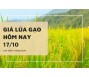Giá lúa gạo hôm nay 17/10