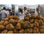 Sầu riêng Việt Nam đắt hàng ở Trung Quốc