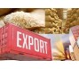 Xuất khẩu gạo tiếp tục bứt phá