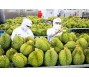 Xuất khẩu rau quả 4 tháng cao kỷ lục