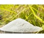 Gạo Việt mất thị phần vào tay Thái Lan ở thị trường Philippines