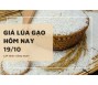 Giá lúa gạo hôm nay 19/10