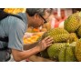 Sầu riêng Thái tại Trung Quốc mất thị phần vào tay Việt Nam