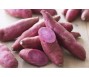 Xuất khẩu lô khoai lang chính ngạch đầu tiên sang Trung Quốc