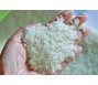Ấn Độ cấm xuất khẩu gạo tẻ thường từ ngày 20/7
