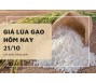 Giá lúa gạo hôm nay 21/10