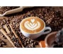 Giá cà phê xuất khẩu sang Mỹ tăng 25% trong 7 tháng